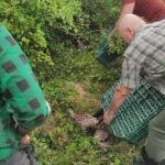 Fot. Koło Łowieckie Hubertus Kielce