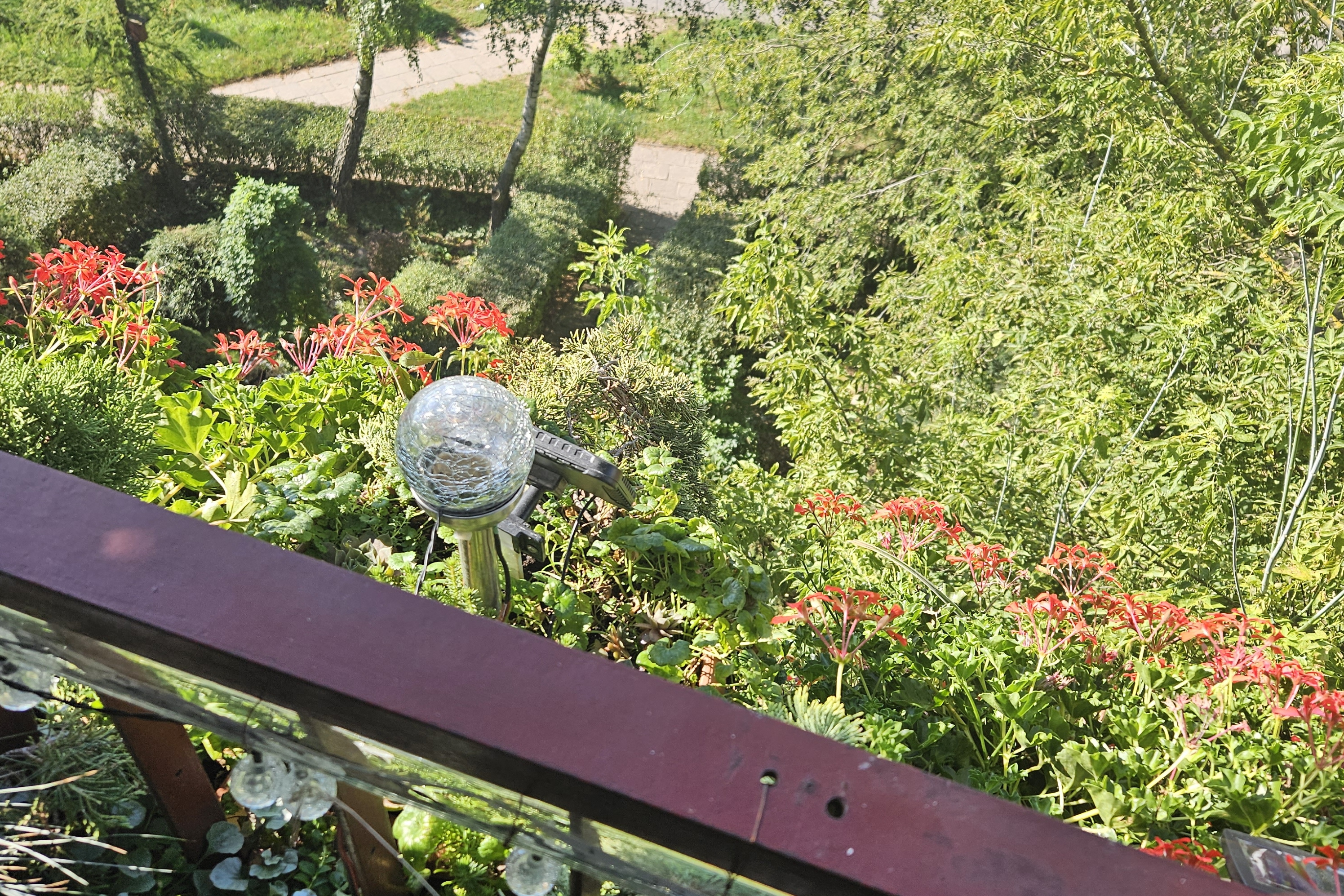 Zobacz najpiękniejszy balkon w mieście