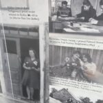 31.08.2024. Osiek. Wystawa na Rynku / Fot. Grażyna Szlęzak - Radio Kielce