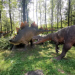 26.08.2024 Bałtów. Jura Park Kompleks Turystyczny. Wystawa dinozaurów / Fot. Aleksandra Kwaśniewska - Radio Kielce