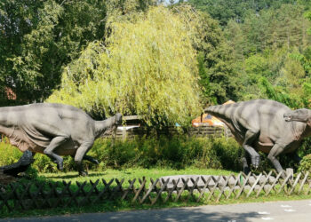 26.08.2024 Bałtów. Jura Park Kompleks Turystyczny. Wystawa dinozaurów / Fot. Aleksandra Kwaśniewska - Radio Kielce