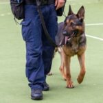 Fot. Świętokrzyska Policja