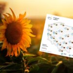 Co nas czeka do końca tygodnia?