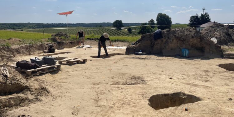 02.08.2024. Wilczyce. Prace archeologoiczne / Fot. Grażyna Szlęzak - Radio Kielce