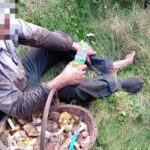 Wybrał się na grzyby i utknął w lesie