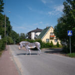 Fot. Radosław Kowalik