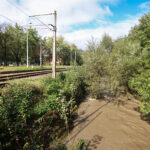 15.09.2024. Cieszyn. Wezbrana rzeka Olza w Cieszynie / Fot. PAP - Michał Meissner