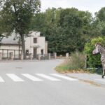 Fot. Radosław Kowalik