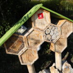 19.09.2024. Kielce. Jesień w Ogrodzie Botanicznym / Fot. Wiktor Taszłow – Radio Kielce