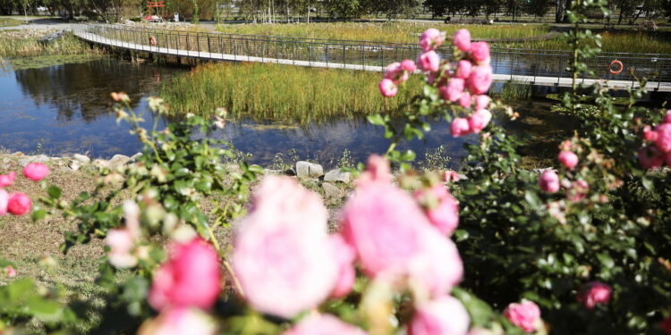 Ogród botaniczny jesienią