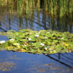 19.09.2024. Kielce. Jesień w Ogrodzie Botanicznym / Fot. Wiktor Taszłow – Radio Kielce