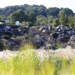 19.09.2024. Kielce. Jesień w Ogrodzie Botanicznym / Fot. Wiktor Taszłow – Radio Kielce