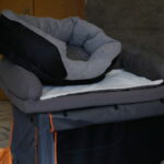 20.09.2024. Kielce. Wojewódzki Dom Kultury. Zbiórka dla zwierząt, które ucierpiały w powodzi / Fot. Wiktor Taszłow - Radio Kielce