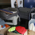 20.09.2024. Kielce. Wojewódzki Dom Kultury. Zbiórka dla zwierząt, które ucierpiały w powodzi / Fot. Wiktor Taszłow - Radio Kielce