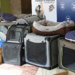 20.09.2024. Kielce. Wojewódzki Dom Kultury. Zbiórka dla zwierząt, które ucierpiały w powodzi / Fot. Wiktor Taszłow - Radio Kielce