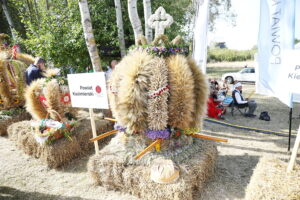 08.09.2024. Skansen w Tokarni. Świętokrzyskie Dożynki Wojewódzkie. / Fot. Wiktor Taszłow - Radio Kielce