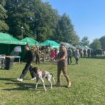 21.09.2024. Staszów. VII Spotkanie z Kulturą Łowiecką / Fot. Grażyna Szlęzak - Radio Kielce