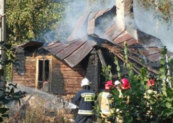 07.09.2024. Sarnówek Mały. Pożar / Fot. Ratownictwo Powiatu Ostrowieckiego