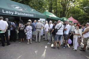 08.09.2024. Kielce. Festyn rodzinny Lasów Państwowych. / Fot. Jarosław Kubalski - Radio Kielce