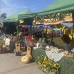 08.09.2024. Obrazów. Europejskie Święto Jabłka. / Fot. Grażyna Szlęzak - Radio Kielce