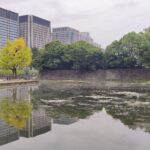 Japonia / Fot. Danuta Rasała