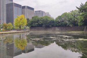 Japonia / Fot. Danuta Rasała