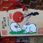 Japonia / Fot. Danuta Rasała