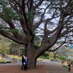 Japonia / Fot. Danuta Rasała