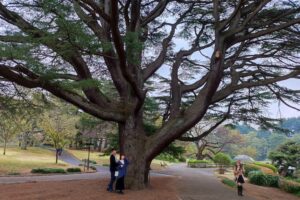 Japonia / Fot. Danuta Rasała