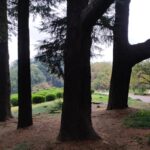 Muzyczne podróże przez świat. Jesień w Japonii. Cz.1. Z Tokio do Kamakury - Radio Kielce