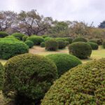 Muzyczne podróże przez świat. Jesień w Japonii. Cz.1. Z Tokio do Kamakury - Radio Kielce