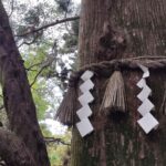 Japonia / Fot. Danuta Rasała