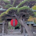 Japonia / Fot. Danuta Rasała