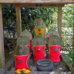 Japonia / Fot. Danuta Rasała