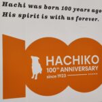 Japonia / Fot. Danuta Rasała