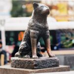 Japonia / Fot. Danuta Rasała