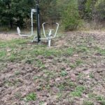 09.10.2024. Końskie. Szkody wyrządzone przez dziki / Fot. Magdalena Galas-Klusek - Radio Kielce