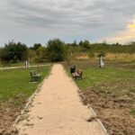 09.10.2024. Końskie. Szkody wyrządzone przez dziki / Fot. Magdalena Galas-Klusek - Radio Kielce