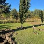 09.10.2024. Końskie. Szkody wyrządzone przez dziki / Fot. Magdalena Galas-Klusek - Radio Kielce