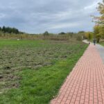 09.10.2024. Końskie. Szkody wyrządzone przez dziki / Fot. Magdalena Galas-Klusek - Radio Kielce