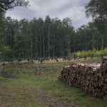 Fot. Foty: Kohorta Stowarzyszenie Historyczno - Eksploracyjne