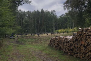 Fot. Foty: Kohorta Stowarzyszenie Historyczno - Eksploracyjne