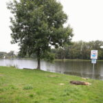 Przy Zalewie Kieleckim powstanie mini ogród botaniczny