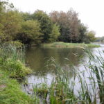 03.10.2024. Kielce. Tereny przy Zalewie Kieleckim / Fot. Wiktor Taszłow - Radio Kielce