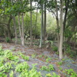 03.10.2024. Kielce. Tereny przy Zalewie Kieleckim / Fot. Wiktor Taszłow - Radio Kielce