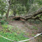 03.10.2024. Kielce. Tereny przy Zalewie Kieleckim / Fot. Wiktor Taszłow - Radio Kielce