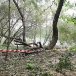 03.10.2024. Kielce. Tereny przy Zalewie Kieleckim / Fot. Wiktor Taszłow - Radio Kielce