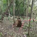 03.10.2024. Kielce. Tereny przy Zalewie Kieleckim / Fot. Wiktor Taszłow - Radio Kielce