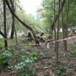 03.10.2024. Kielce. Tereny przy Zalewie Kieleckim / Fot. Wiktor Taszłow - Radio Kielce