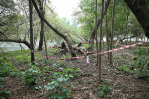 03.10.2024. Kielce. Tereny przy Zalewie Kieleckim / Fot. Wiktor Taszłow - Radio Kielce